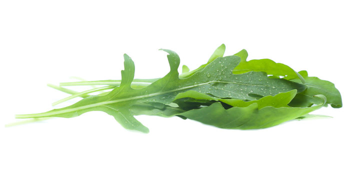green fresh rucola leaves isolated on white background. Rocket salad or arugula