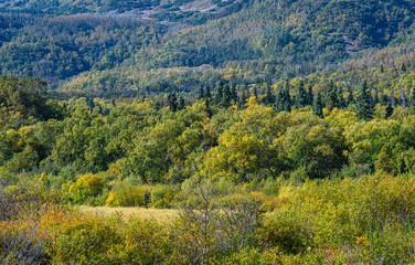Fall landscape of boreal forest and mountain above the Brooks River, Katmai National Park, Alaska, USA