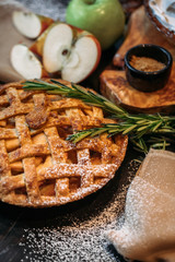 Fresh baked Apple pie on a dark wooden background