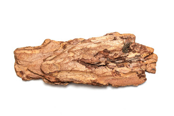 A piece of tree bark is isolated on a white background.