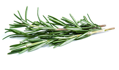Fototapeta premium rosemary isolated on white background