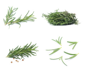 rosemary isolated on white background (Mix, set , collection)