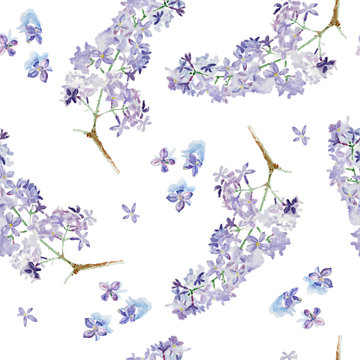  Seamless pattern with lilac flowers on white background
