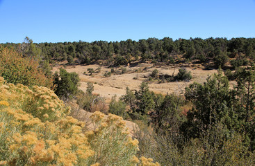 National archaeological park Mesa Verde in Colorado, USA