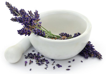 Lavender flower in a mortar with pestle