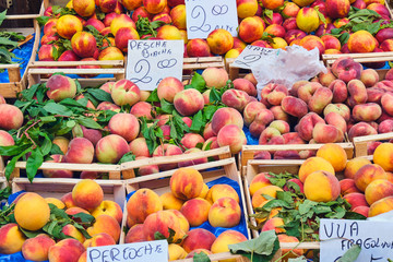 Peaches and nectarines for sale at a market