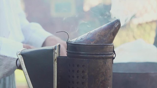 bee-maker beekeeper man working of a smoke pipe beeper smoker device for repelling lifestyle evil bees. slow motion video. apiary. beekeeping concept bee agriculture