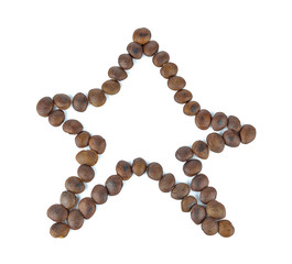 Roasted peanuts stars Inca on white background