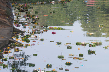 Garbage in the river from Loy Krathong festival, Garbage after the Loi Krathong festival in Thailand.