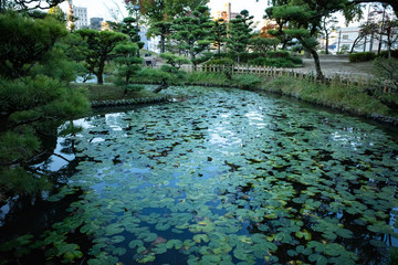 道後公園