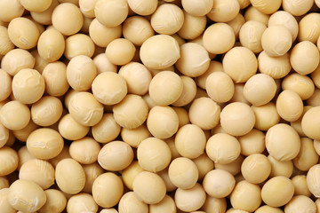 Soybean background