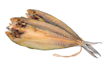 Dried salted fishes on white background
