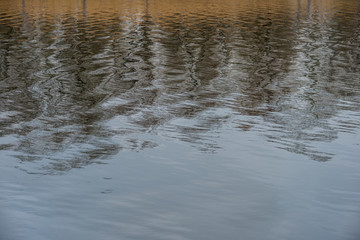 reflection of shadows of trees and dry vegetation in the water of the river.