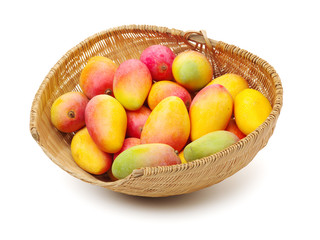 Mango on a white background