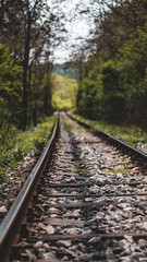 Fototapeta premium railway in the forest