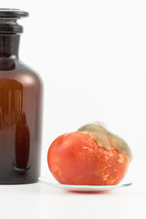 Closeup view of a glass laboratory reagent bottle and a tomato showing food spoilage and waste with moulds and bacteria growing on the surface. Isolated on a white background. 