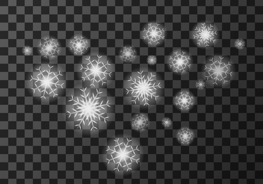 White snow flakes weather meteo icon vector illustration