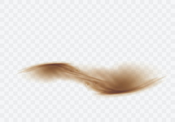 Desert sandstorm, brown dusty cloud or dry sand flying with gust of wind, explosion realistic texture vector illustration isolated on transparent background