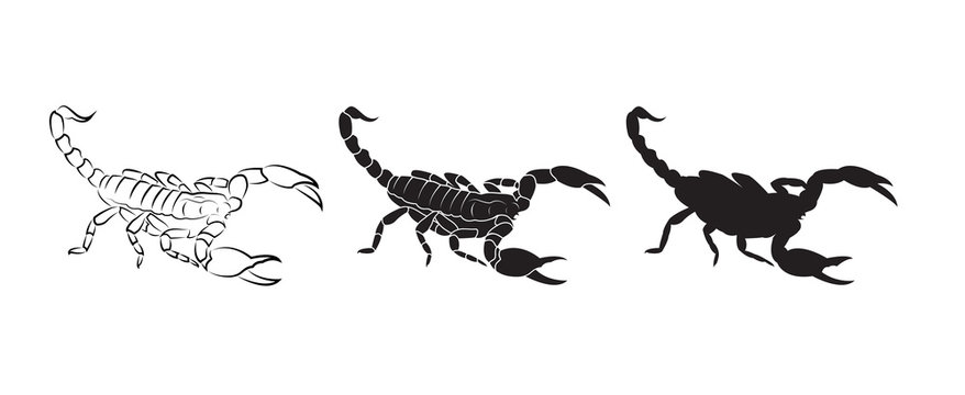 Vector of scorpions isolated on white background. Insect. Animal. Scorpions logo or Icon. Easy editable layered vector illustration.