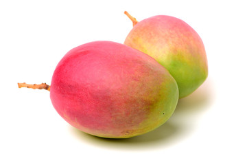 Mango on white background