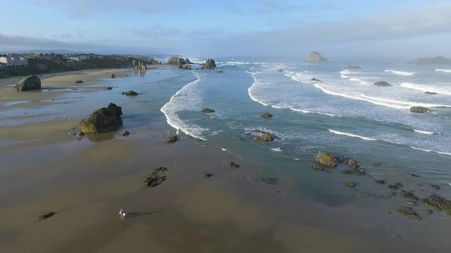 man walking dog on beach of a costal town as birds fly overhead in htis aerial drone shot