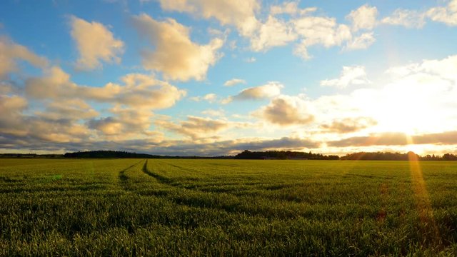 Time Lapse, Cloudy Sunrise Over Fields With Rye