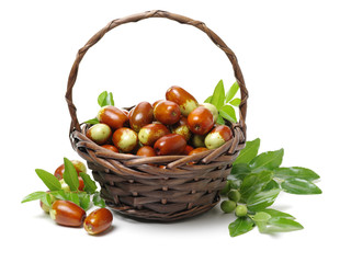 jujube or chinese date on white background