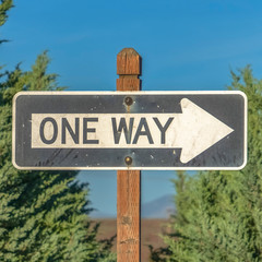 Square frame Close up of a One Way road sign against tree leaves and blue sky on a sunny day