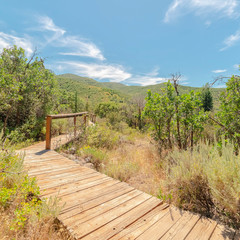 Fototapeta na wymiar Square frame Wooden walkway with handrails in the forest with view of mountain and blue sky