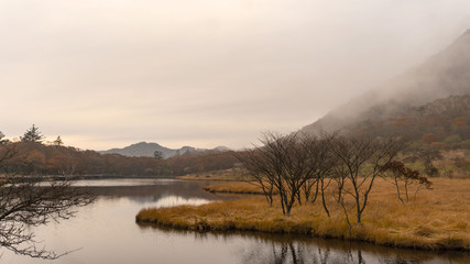 霧が降りる夕方の湿原／This wetland is the awakening of Gunma Prefecture in Japan