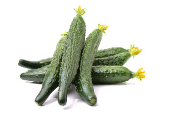 Green cucumber on the white background