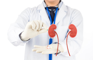 doctor check 3D kidney urology , kidney disease with medicine