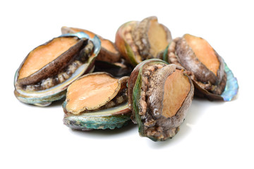 Raw abalones on the white background 