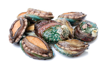 Raw abalones on the white background 