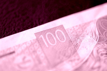 Fragment of a Czech banknote in one hundred crowns closeup. Money background pink color toned