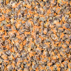 Fresh boiled cockle meat background
