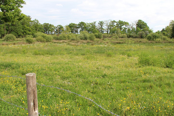 countryside around Nantes (France)