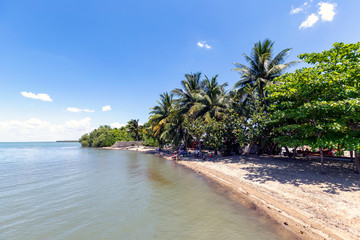 Trees and palms at the coast, Manzanillo, Cuba