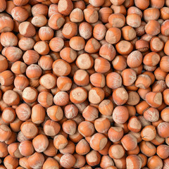 Hazelnuts background