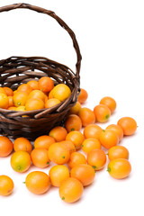 kumquat on white background