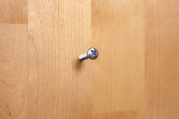 a screw embedded in the surface of wood.