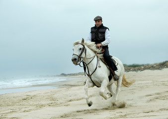 Fototapeta na wymiar riding man and horse