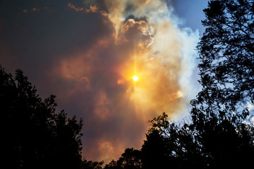 Fototapeta na wymiar Australian bushfire: trees silhouettes and smoke from bushfires covers the sky and glowing sun barely seen through the smoke