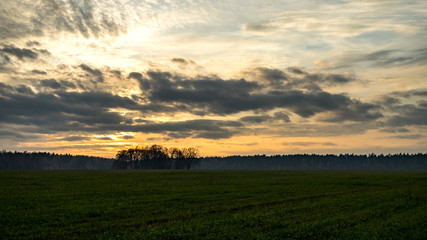 Evening landscape. Field and forest edge. Clouds and sunset.