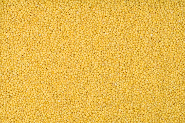 Millet yellow background