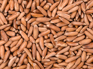 Pine nuts on white background