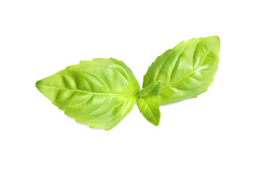 Fresh green basil leaves isolated on white