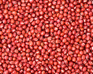 red beans background