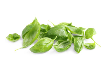 Pile of fresh basil leaves isolated on white