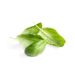 Fresh green basil leaves isolated on white
